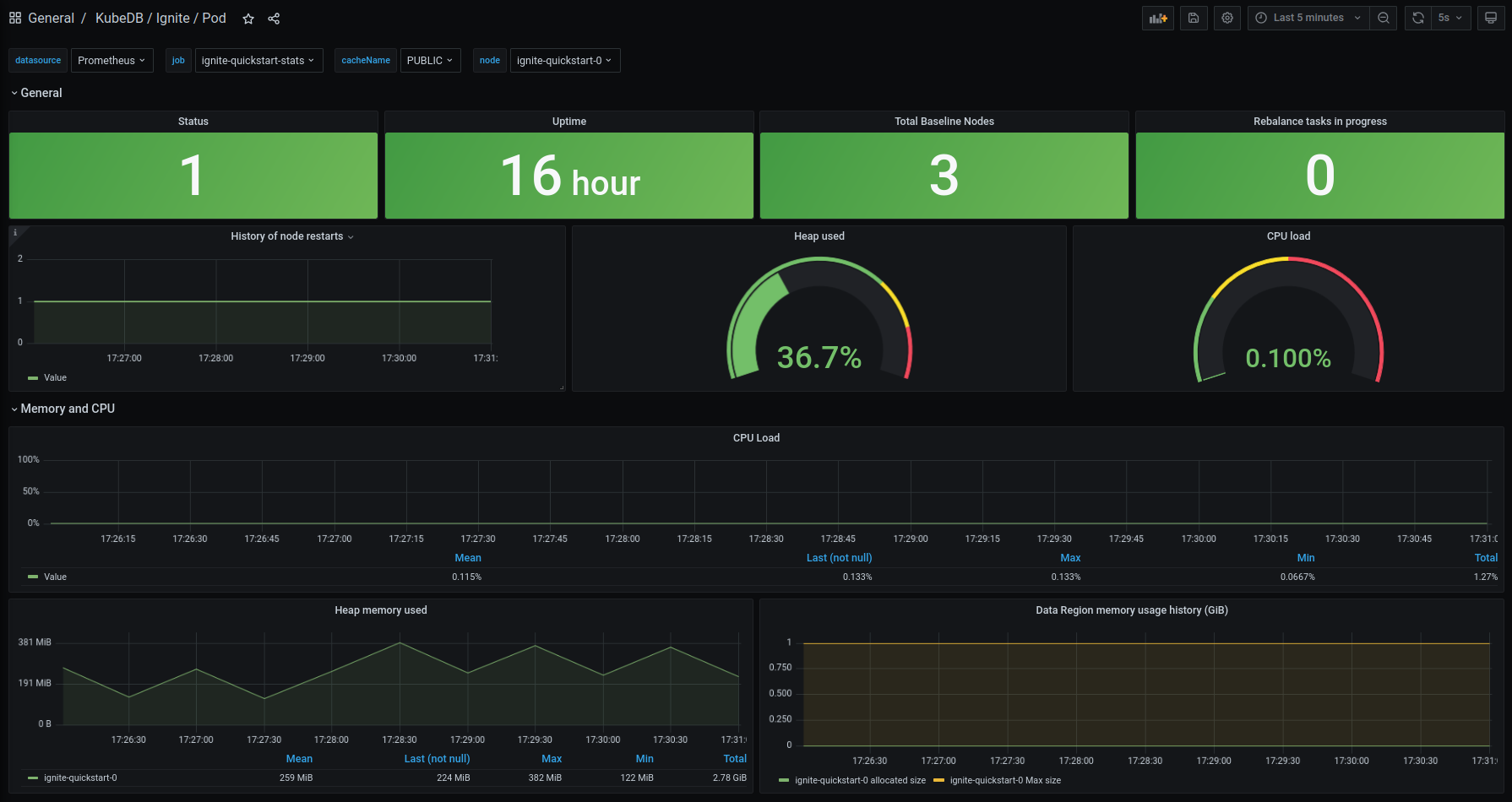 KubeDB Ignite Pod Dashboard